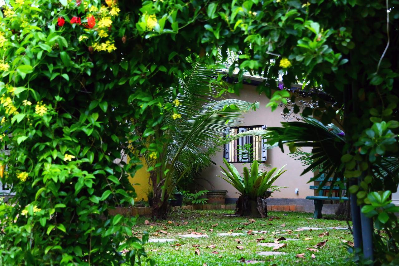 Coconut Villa Midigama East Ngoại thất bức ảnh
