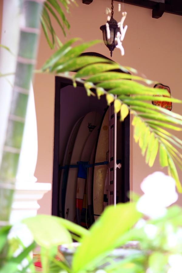 Coconut Villa Midigama East Ngoại thất bức ảnh