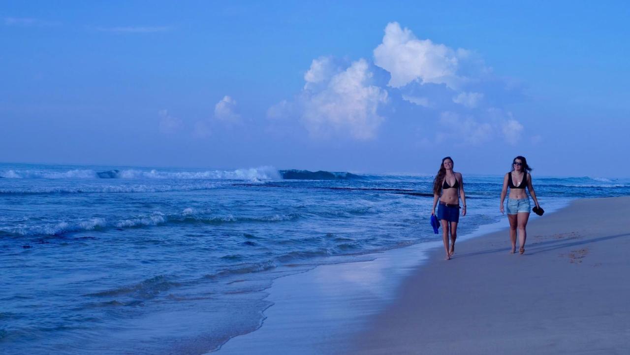 Coconut Villa Midigama East Ngoại thất bức ảnh