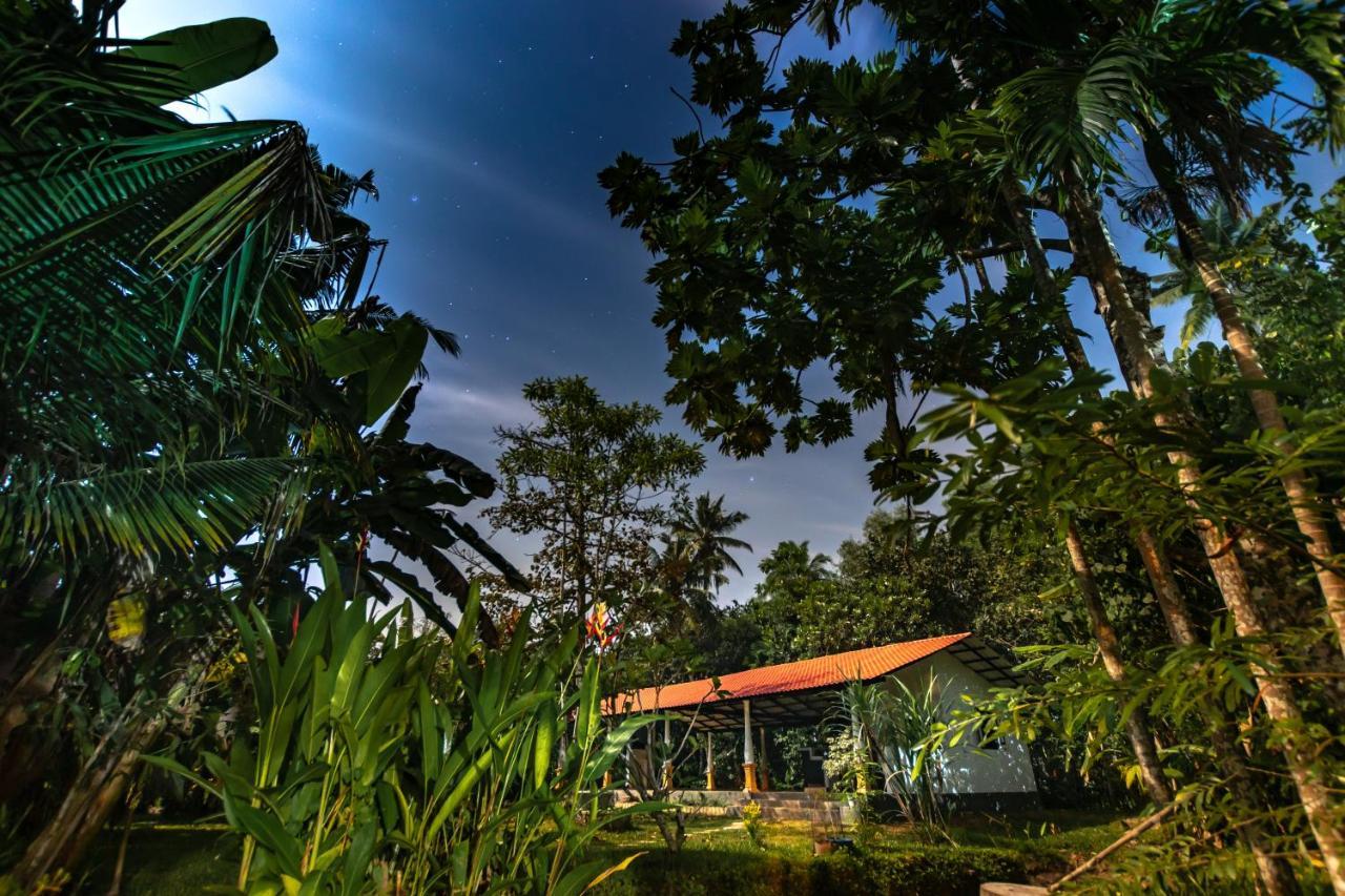 Coconut Villa Midigama East Ngoại thất bức ảnh