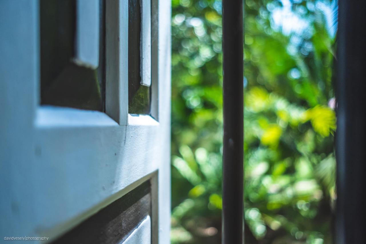 Coconut Villa Midigama East Ngoại thất bức ảnh