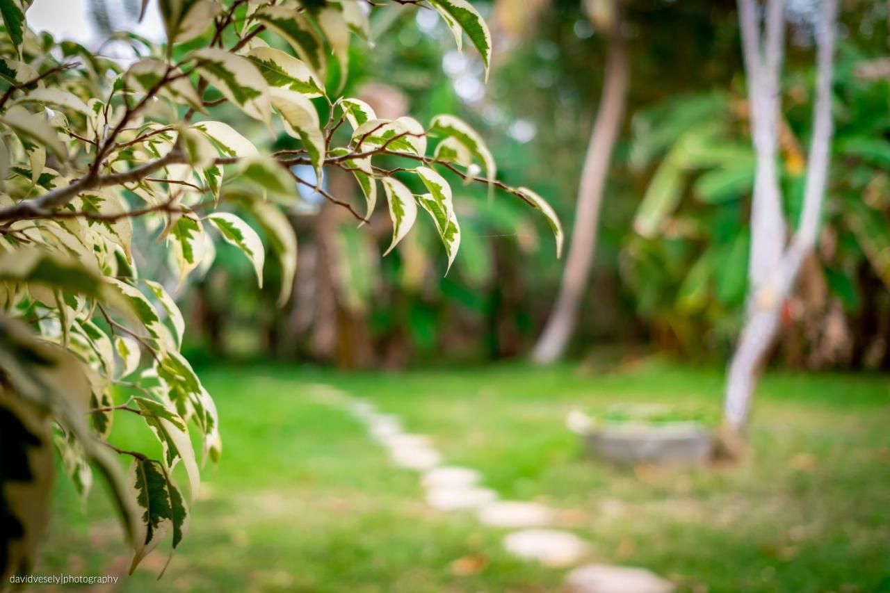 Coconut Villa Midigama East Ngoại thất bức ảnh