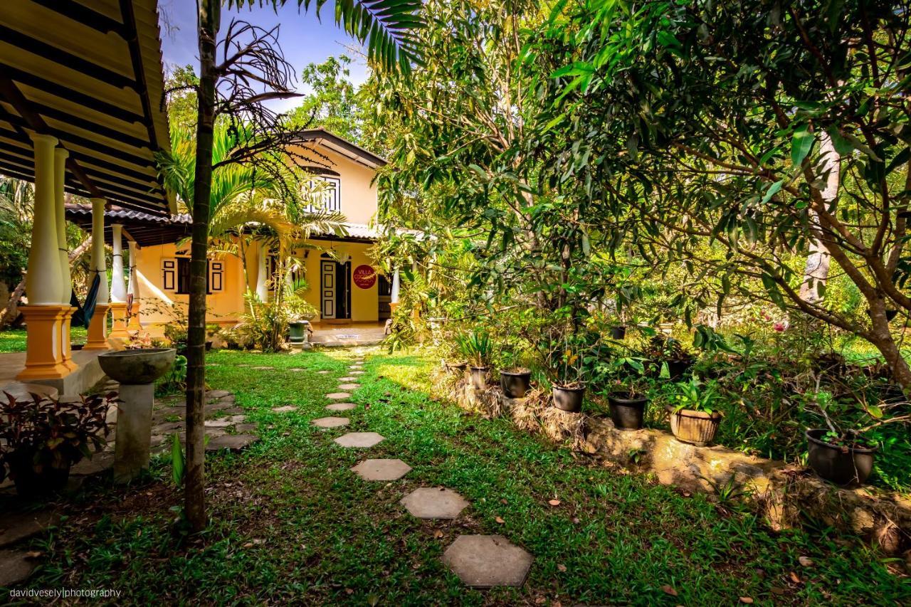 Coconut Villa Midigama East Ngoại thất bức ảnh