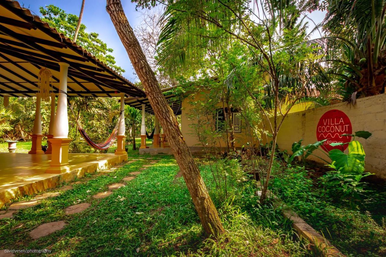 Coconut Villa Midigama East Ngoại thất bức ảnh