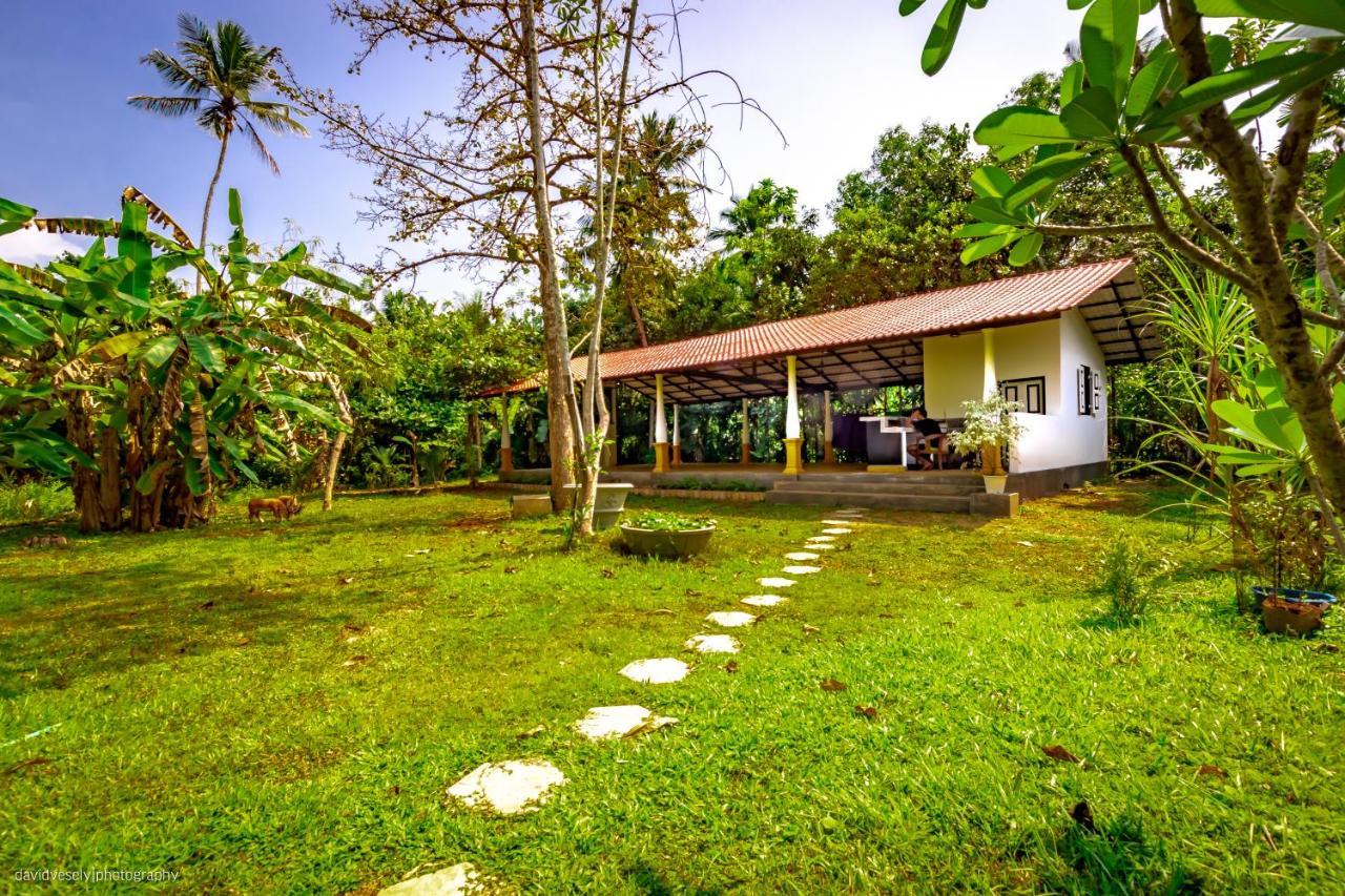 Coconut Villa Midigama East Ngoại thất bức ảnh