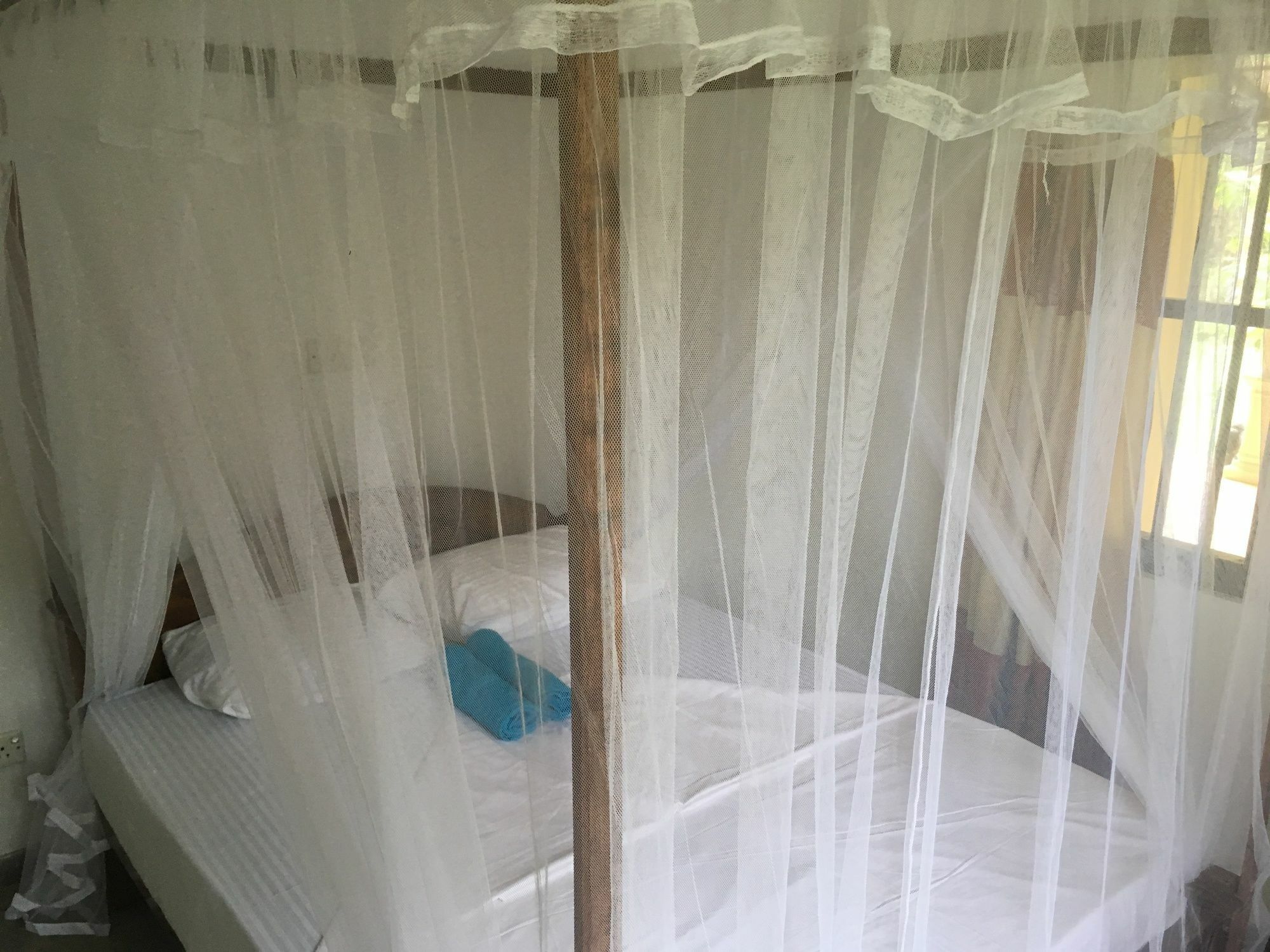 Coconut Villa Midigama East Ngoại thất bức ảnh