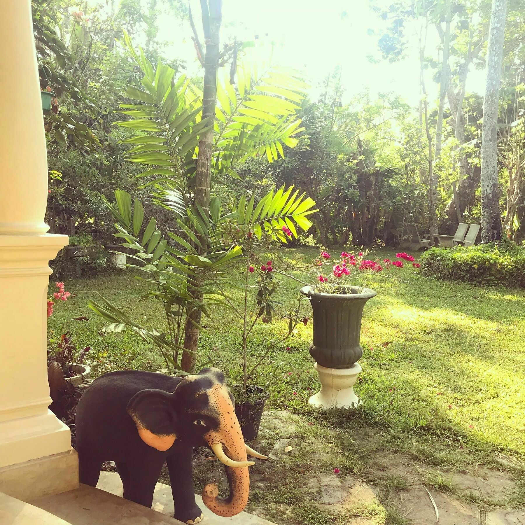 Coconut Villa Midigama East Ngoại thất bức ảnh